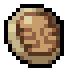 Trilobite Fossil · community reference image