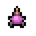 Dragon Horn Beetle · community reference image