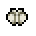 Fuzzy Moth · community reference image