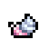Hermit Snail · community reference image