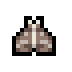 Lantern Moth · community reference image