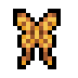 Parchment Moth · community reference image