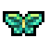 Queen's Birdwing · community reference image