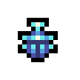 Snowball Beetle · community reference image