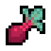 Beet · community reference image