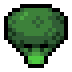 Broccoli · community reference image