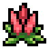 Celosia · community reference image