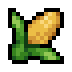 Corn · community reference image