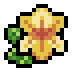 Daffodil · community reference image