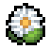 Daisy · community reference image