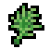 Dill · community reference image