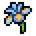 Iris · community reference image