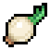 Onion · community reference image