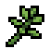 Oregano · community reference image
