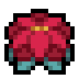 Poinsettia · community reference image