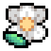 Snowdrop Anemone · community reference image