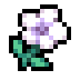 Temple Flower · community reference image