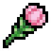 Tulip · community reference image
