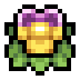 Viola · community reference image