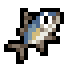 Amberjack · community reference image