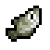 Archerfish · community reference image