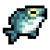 Bluefish · community reference image