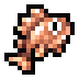 Copper Rockfish · community reference image
