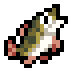 Salmon · community reference image