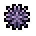 Sea Urchin · community reference image