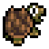Snapping Turtle · community reference image