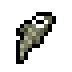 Stone Loach · community reference image