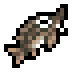 Sturgeon · community reference image