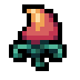 Flame Pepper · community reference image