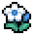 Fog Orchid · community reference image