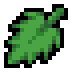 Nettle · community reference image