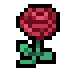 Rose · community reference image