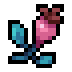 Rose Hip · community reference image