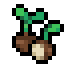 Water Chestnut · community reference image
