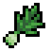 Wild Leek · community reference image